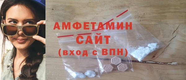 хмурый Алзамай