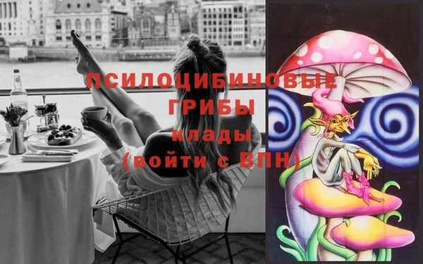 бутират Алексин