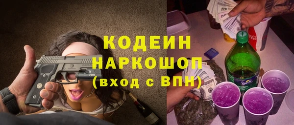 хмурый Алзамай