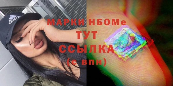 хмурый Алзамай