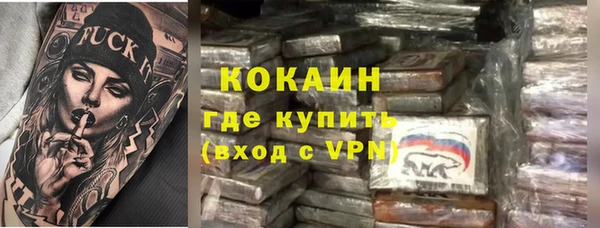 хмурый Алзамай