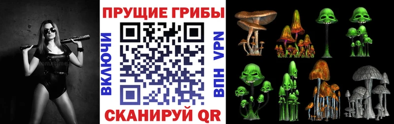 блэк спрут сайт  Алексеевка  Галлюциногенные грибы Psilocybine cubensis 