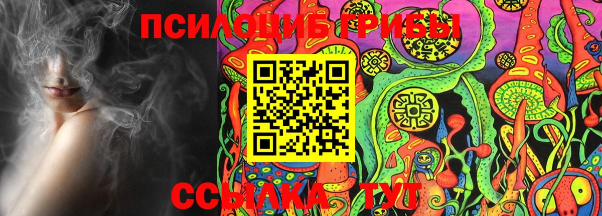 Алексеевка  Галлюциногенные грибы Cubensis  Вход с VPN 