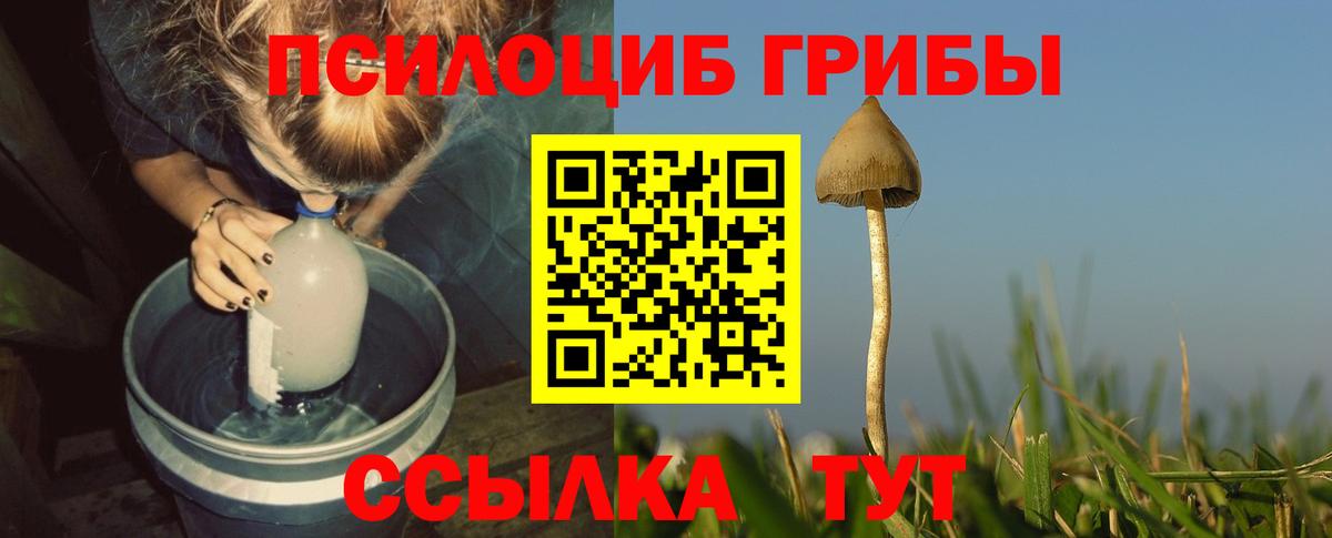 Галлюциногенные грибы прущие грибы Алексеевка
