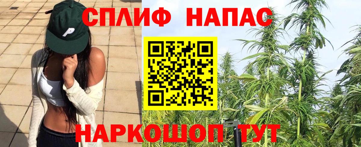 Шишки марихуана MAZAR Алексеевка