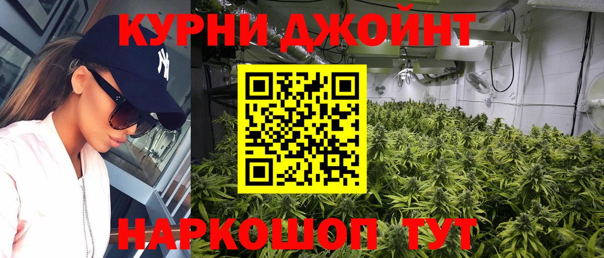 Шишки марихуана конопля  Бошки марихуана тримм  Алексеевка  Вход с VPN 